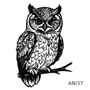 Dessin à graver - Chouette