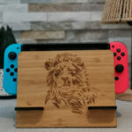 Borne recharge console switch bois